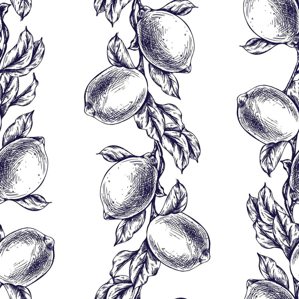 citroenen sappig, rijp met bladeren, bloem bloemknoppen Aan de takken, geheel en plakjes. grafisch botanisch illustratie hand- getrokken in blauw inkt. naadloos patroon eps vector