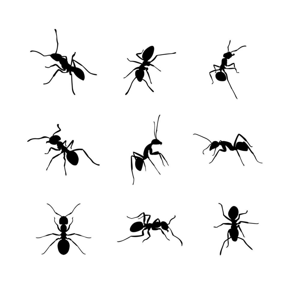 silhouetten van mieren in verschillend poseert, mier vector