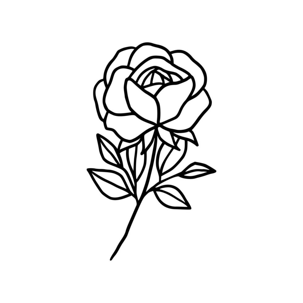 wijnoogst hand- getrokken roos bloemen lijn kunst logo element vector