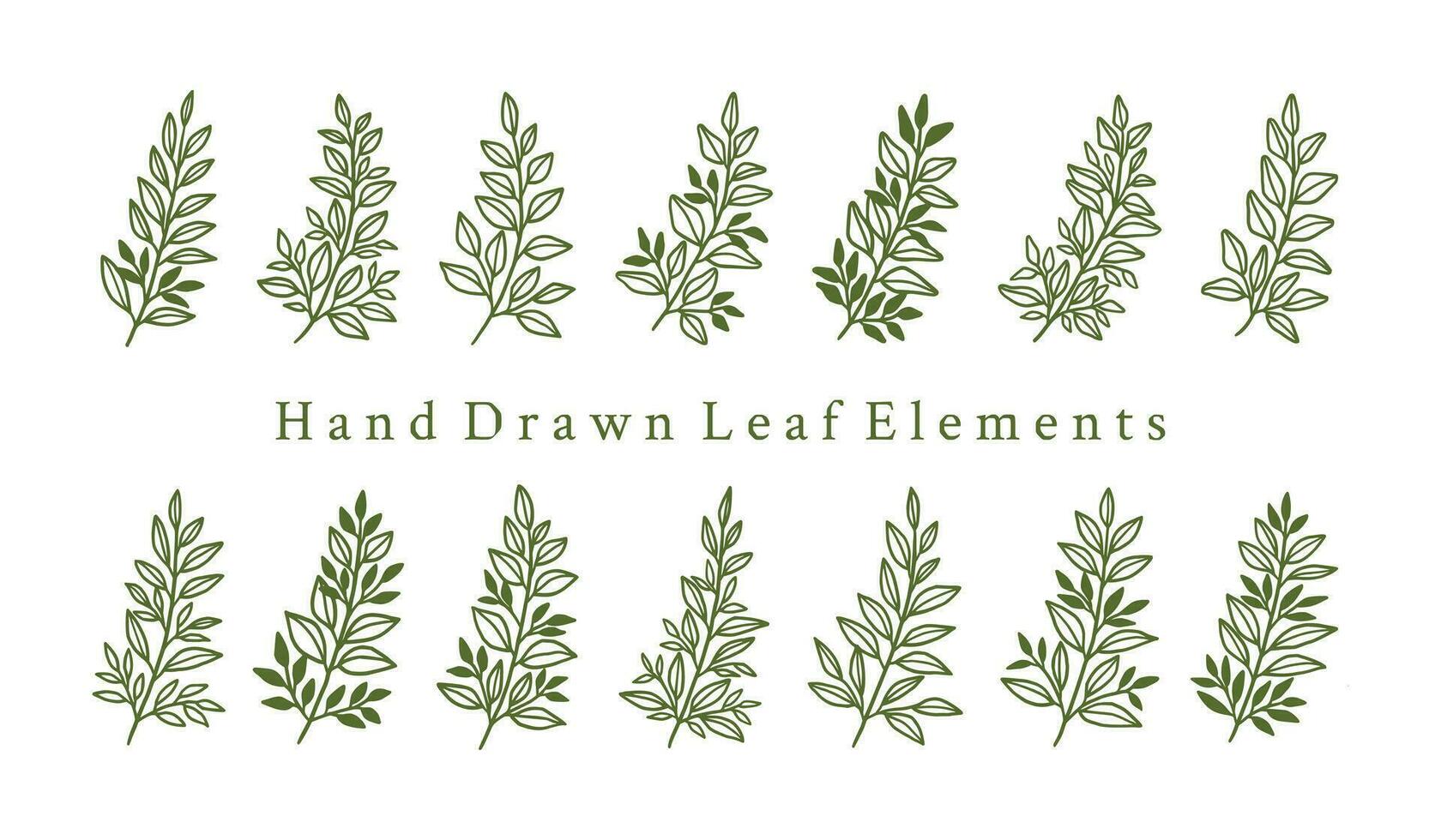 wijnoogst hand- getrokken blad Afdeling logo element verzameling vector