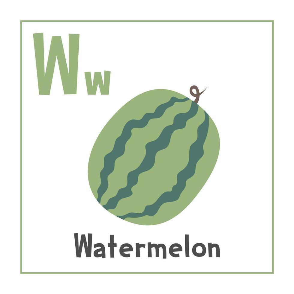 watermeloen clip art. watermeloen vector illustratie tekenfilm vlak stijl. fruit begin met brief w. fruit alfabet kaart. aan het leren brief w kaart. kinderen onderwijs. schattig watermeloen vector ontwerp