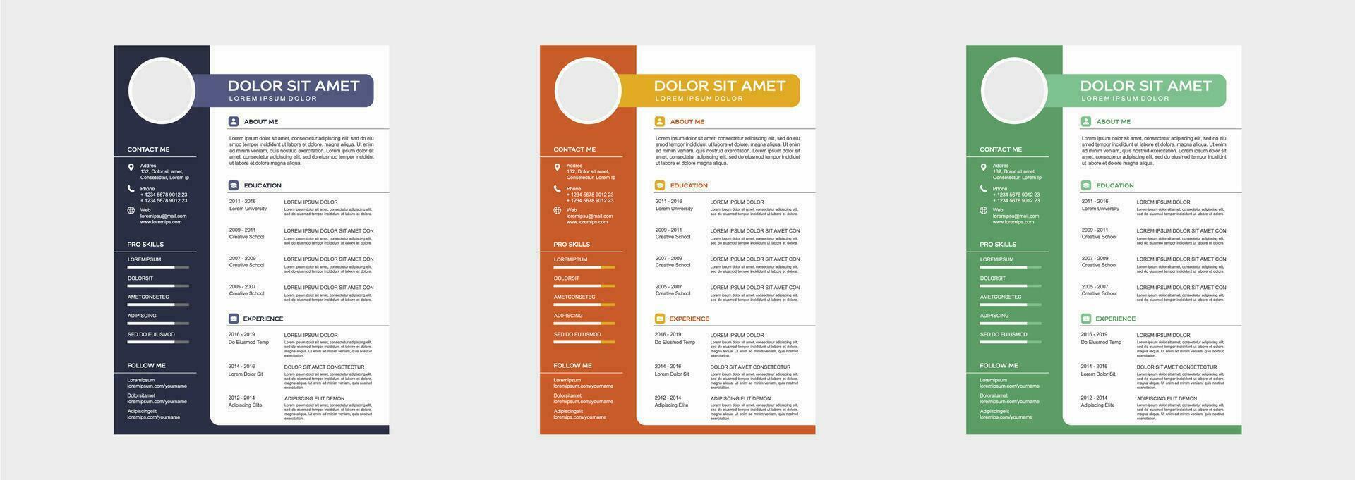 professioneel leerplan vitae sjabloon vector