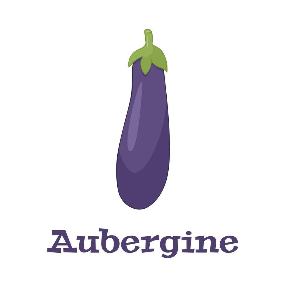 aubergine vegetarisch voedsel.paars aubergine, guibea pompoen.fruit van eierplant eetbaar vegetarisch voedsel, boerderij en landbouw Product vector