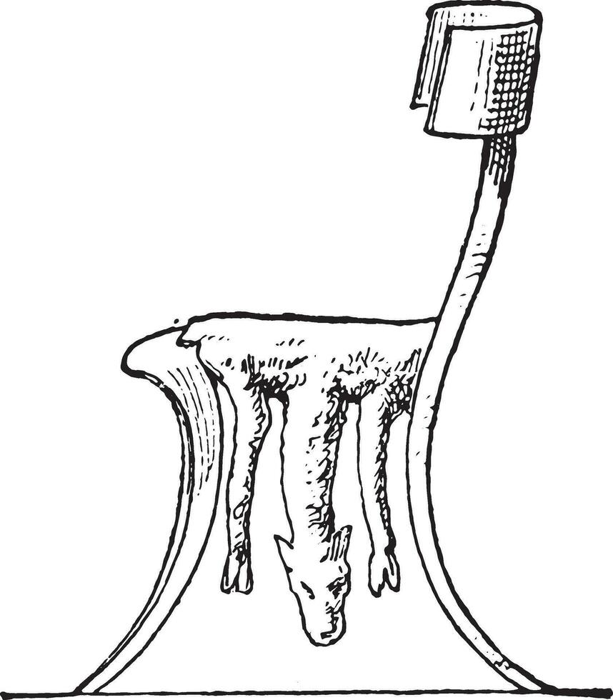 Grieks stoel, wijnoogst gravure. vector