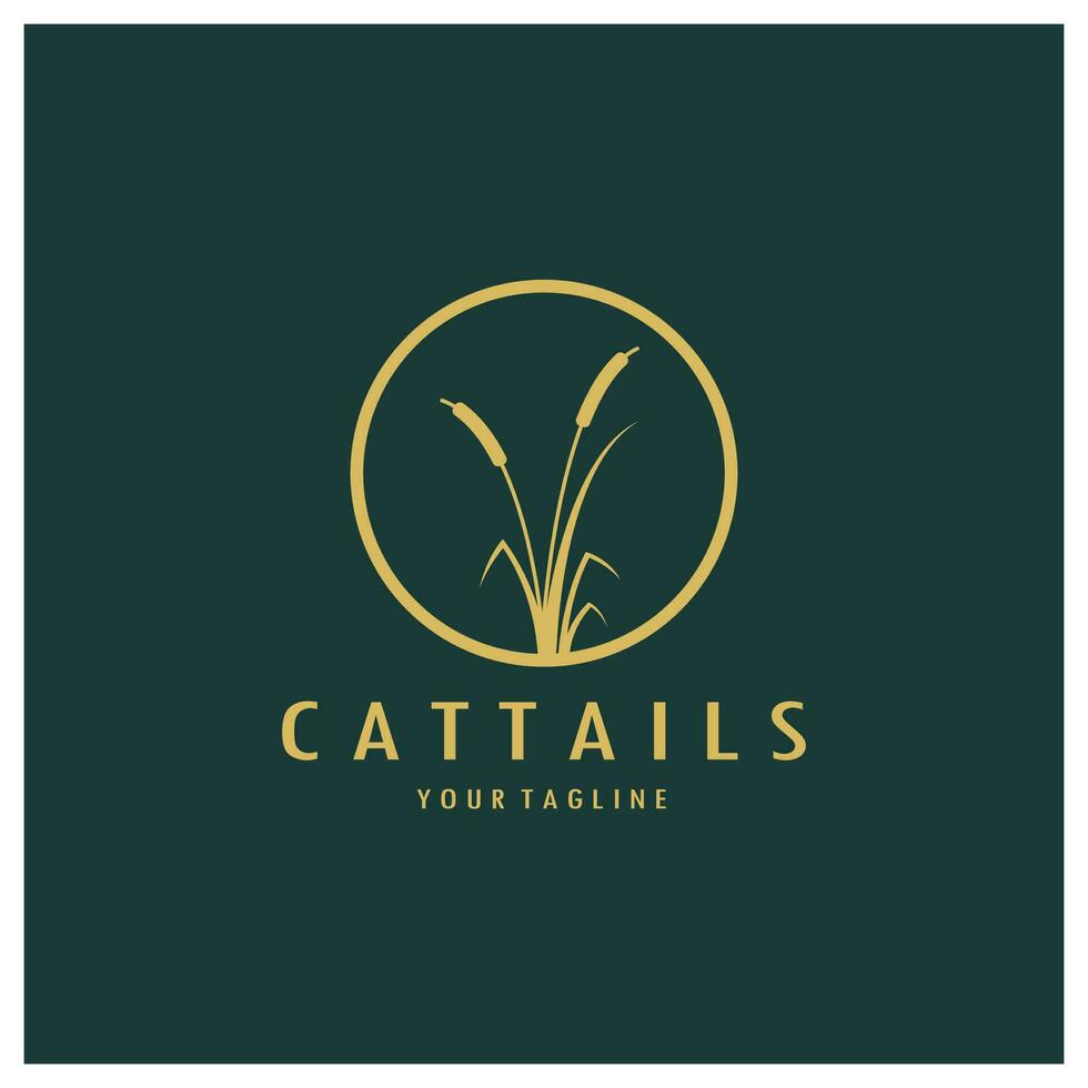 cattails of rivier- riet gras fabriek logo ontwerp, aquatisch planten, moeras, wild gras vector