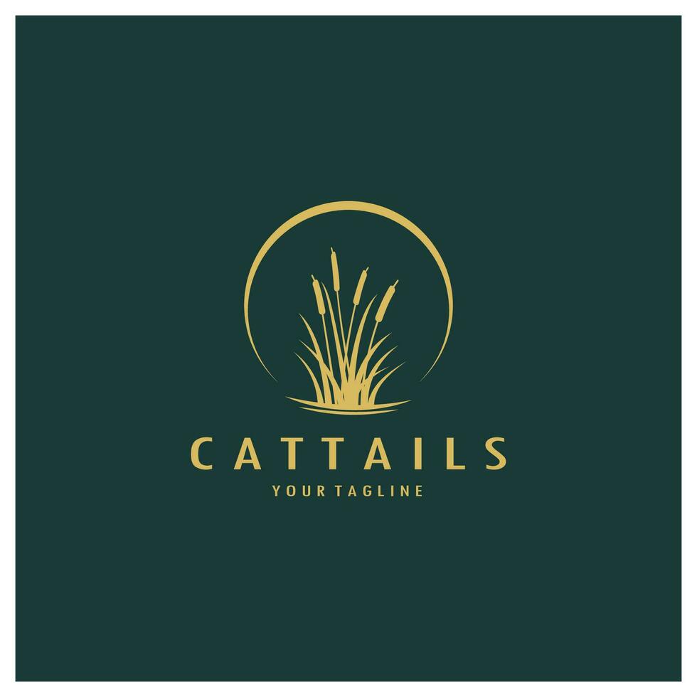 cattails of rivier- riet gras fabriek logo ontwerp, aquatisch planten, moeras, wild gras vector