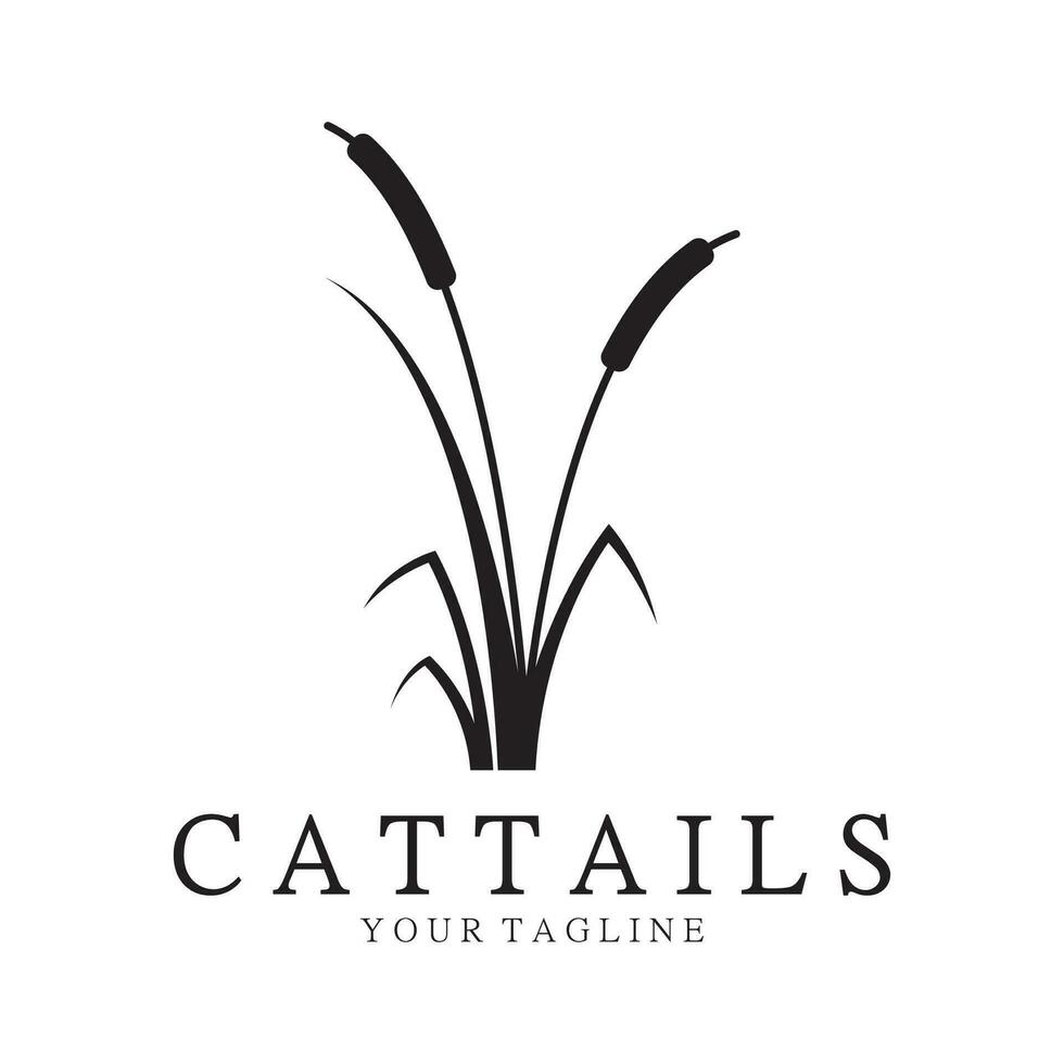 cattails of rivier- riet gras fabriek logo ontwerp, aquatisch planten, moeras, wild gras vector