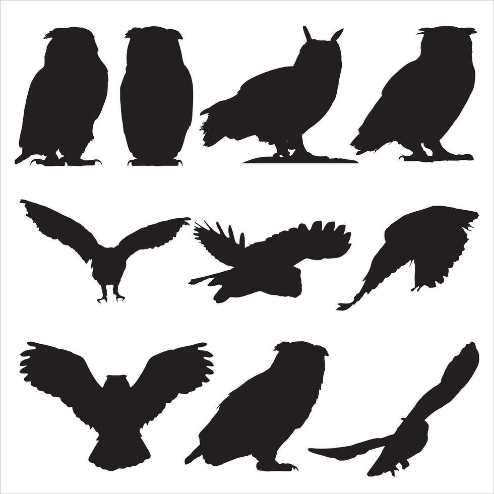 reeks van uilen silhouet bundel, dier pictogrammen, dieren in het wild vector