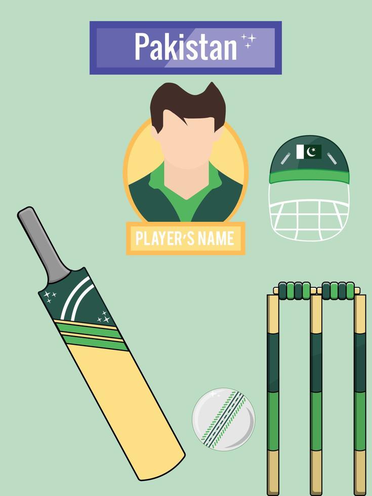 cricket iconen pakistan team vector