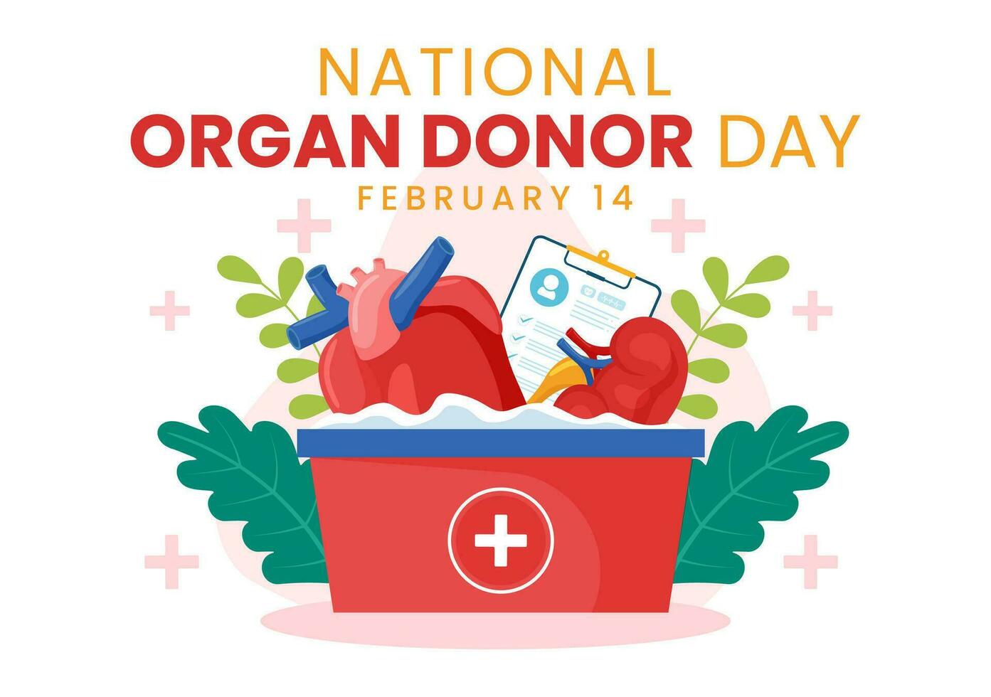 nationaal orgaan schenker dag vector illustratie Aan 14 februari met nieren, hart, longen of lever voor transplantatie en gezondheidszorg in vlak achtergrond