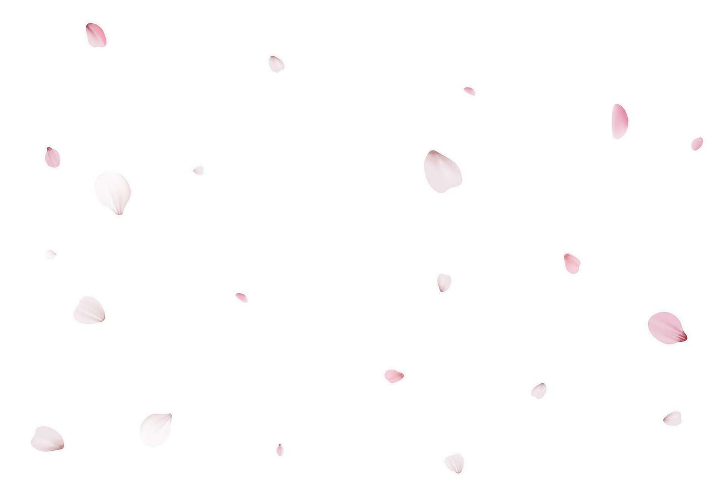 sakura bloemblaadjes. realistisch vector illustratie.