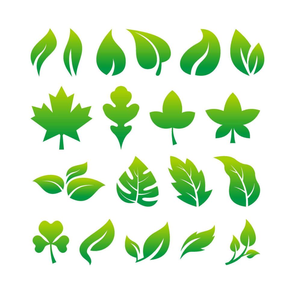 reeks van gemakkelijk vers groen blad icoon illustratie ontwerp, divers bladeren verzameling sjabloon vector