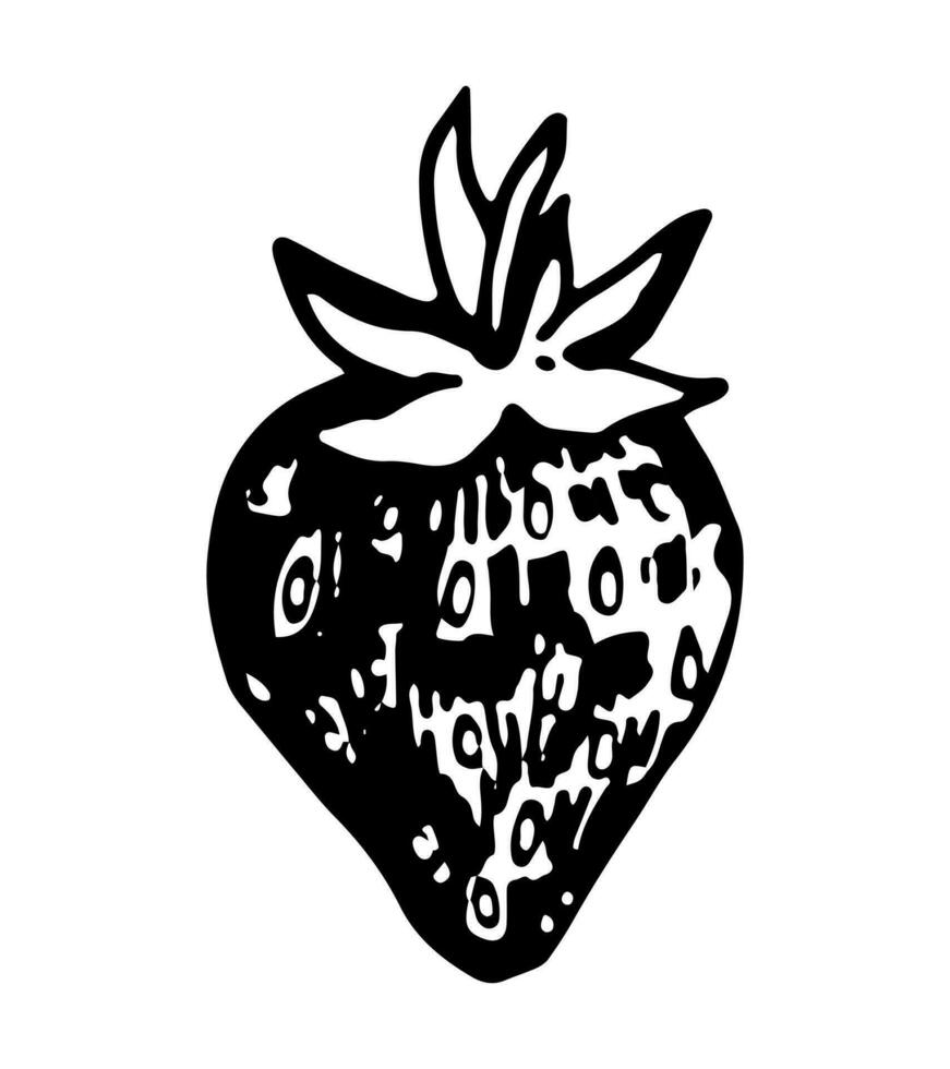 aardbei clip art. zomer BES fruit tekening clip art geïsoleerd Aan wit. hand- getrokken vector illustratie in gravure stijl.