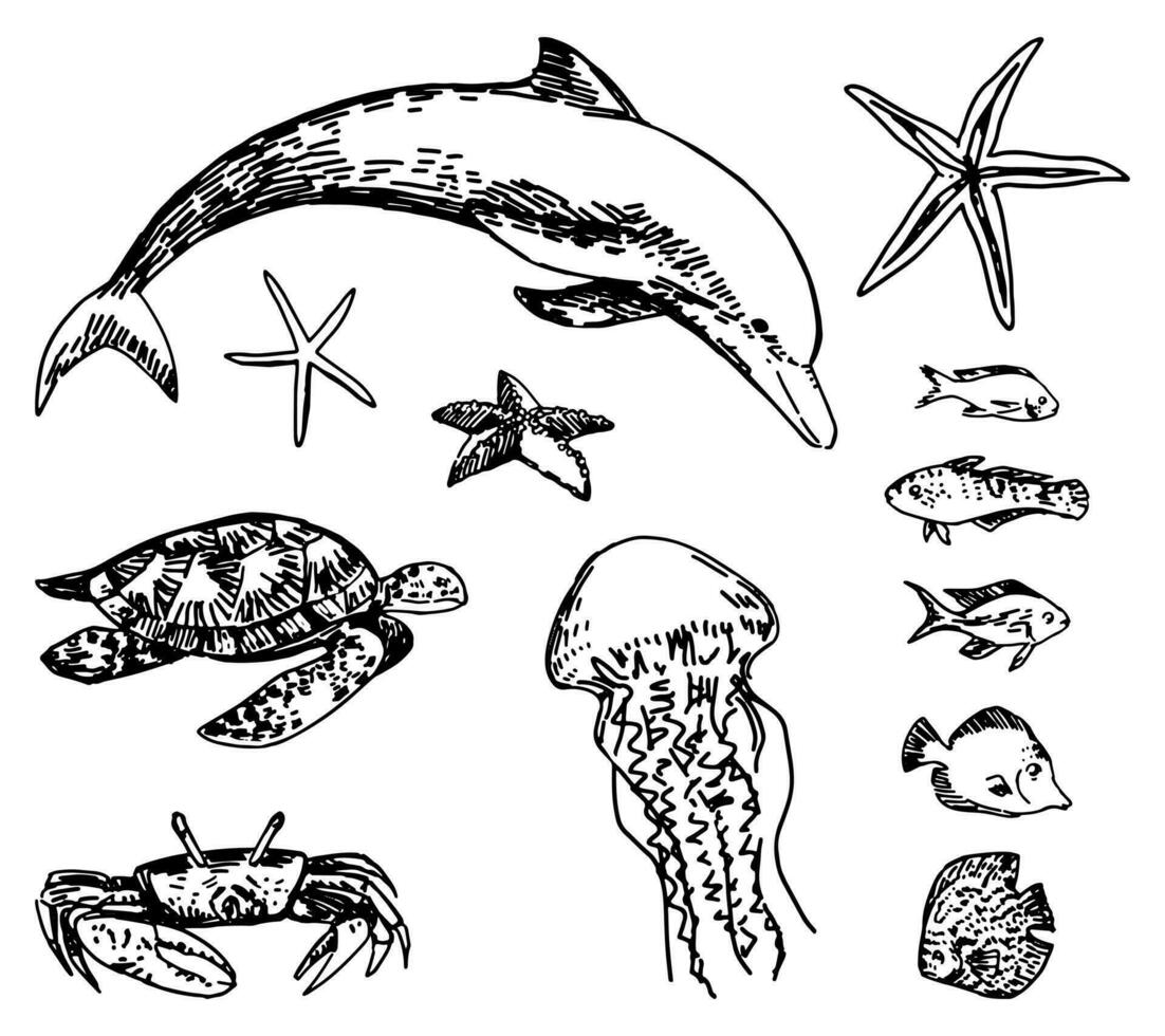 tropisch fauna schetsen verzameling. tekeningen reeks van exotisch vis, zee dieren. hand- getrokken vector illustraties. cliparts geïsoleerd Aan wit.