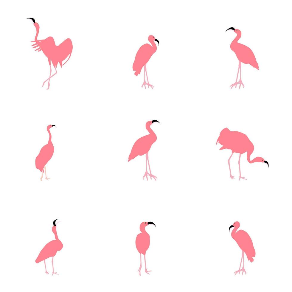 set van prachtige gekleurde flamingo's in verschillende poses vector