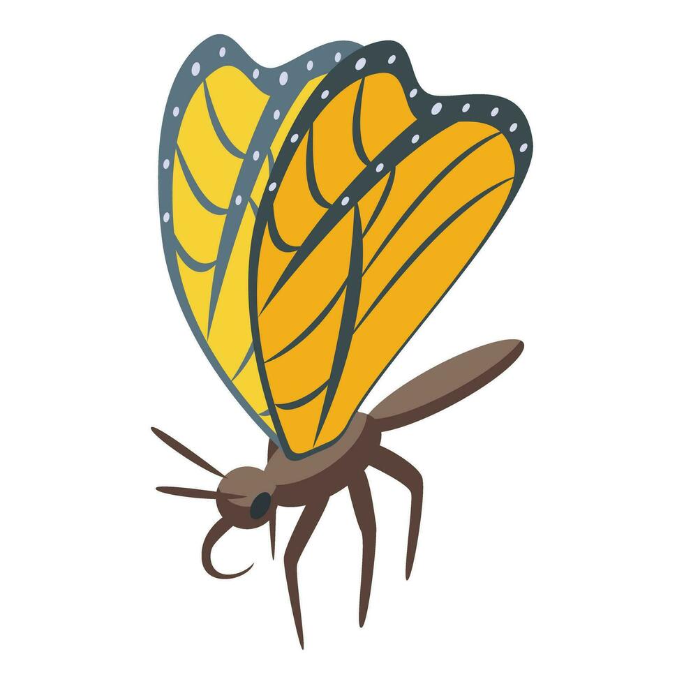 vlinder insect icoon isometrische vector. rups- pop fiets vector