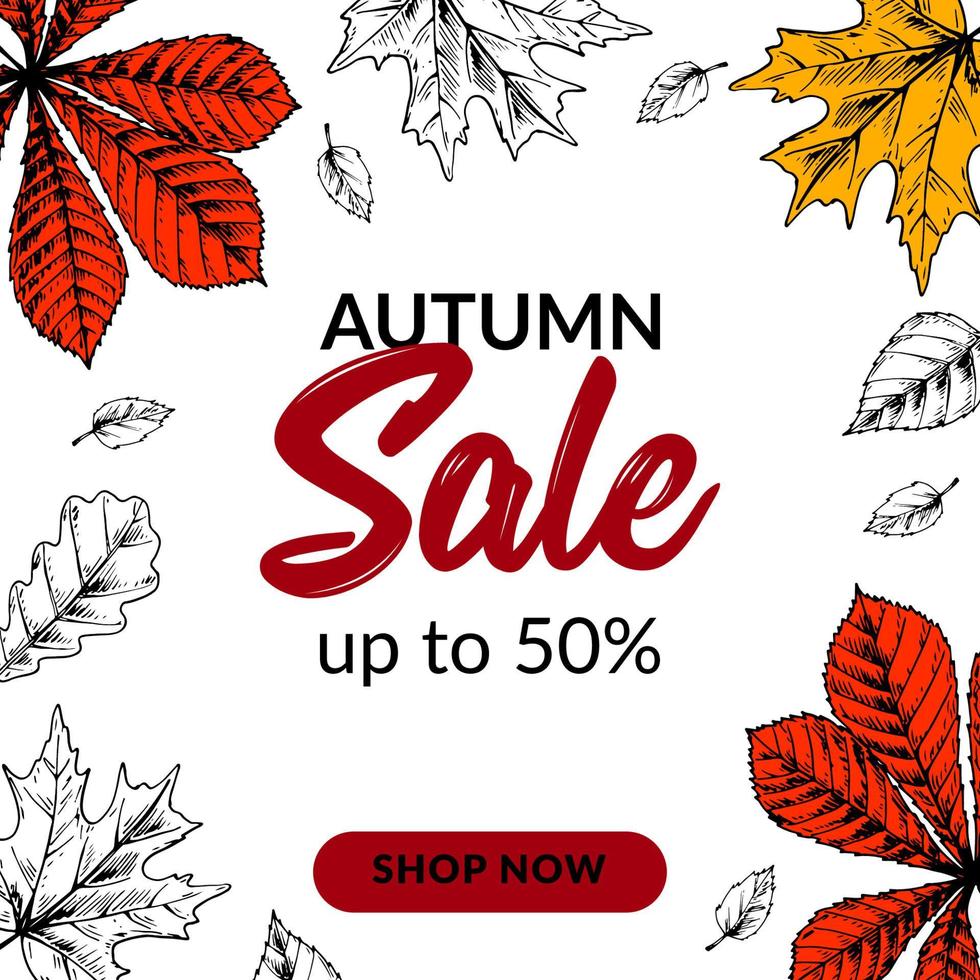 handgetekende herfstverkoopbanner met prachtige bladeren. vierkant herfstontwerp met ruimte voor tekst. vector illustratie