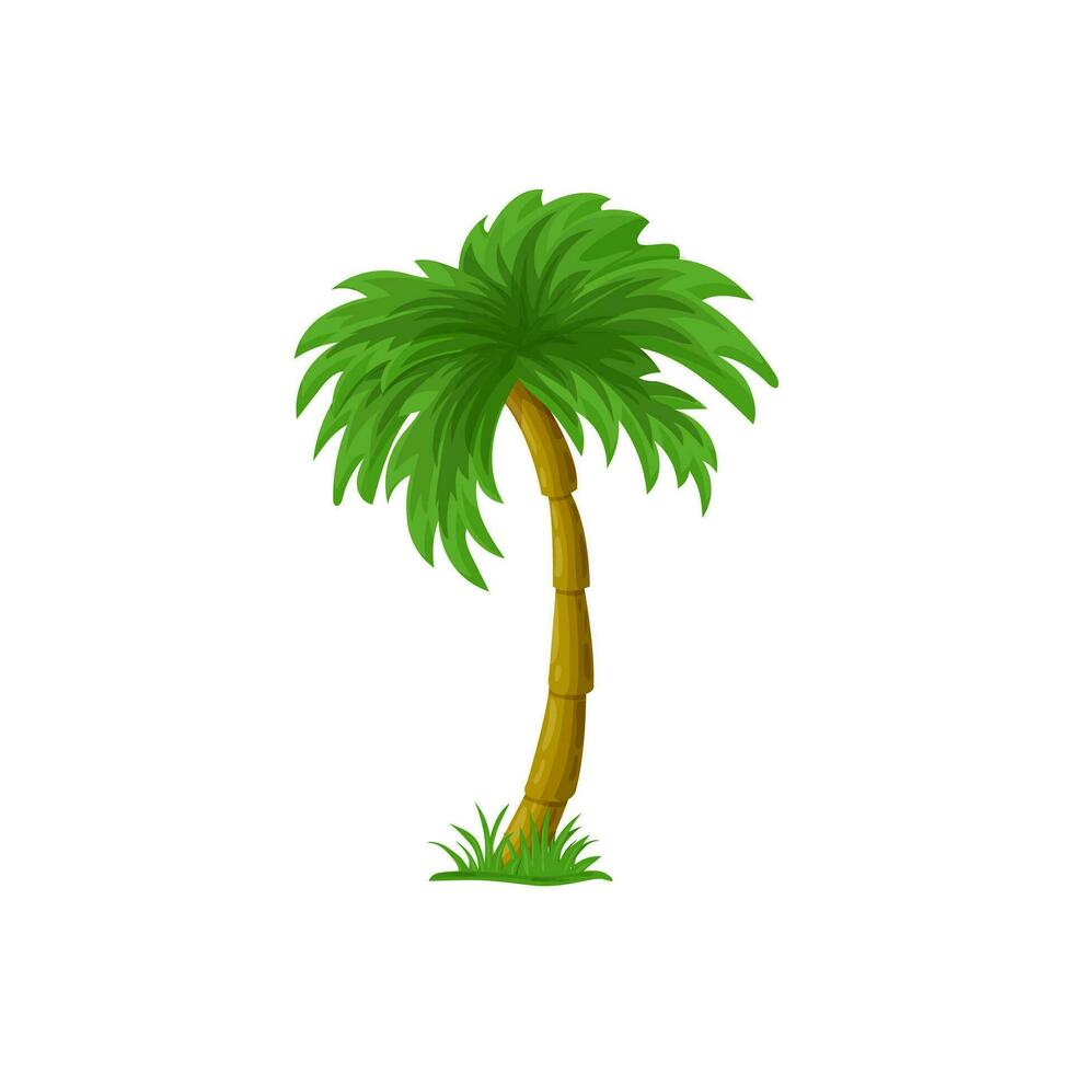 palm boom tekenfilm geïsoleerd Aan wit. kokosnoot palm boom. single palm clip art. grafisch element voor tropisch, exotisch illustratie. vector