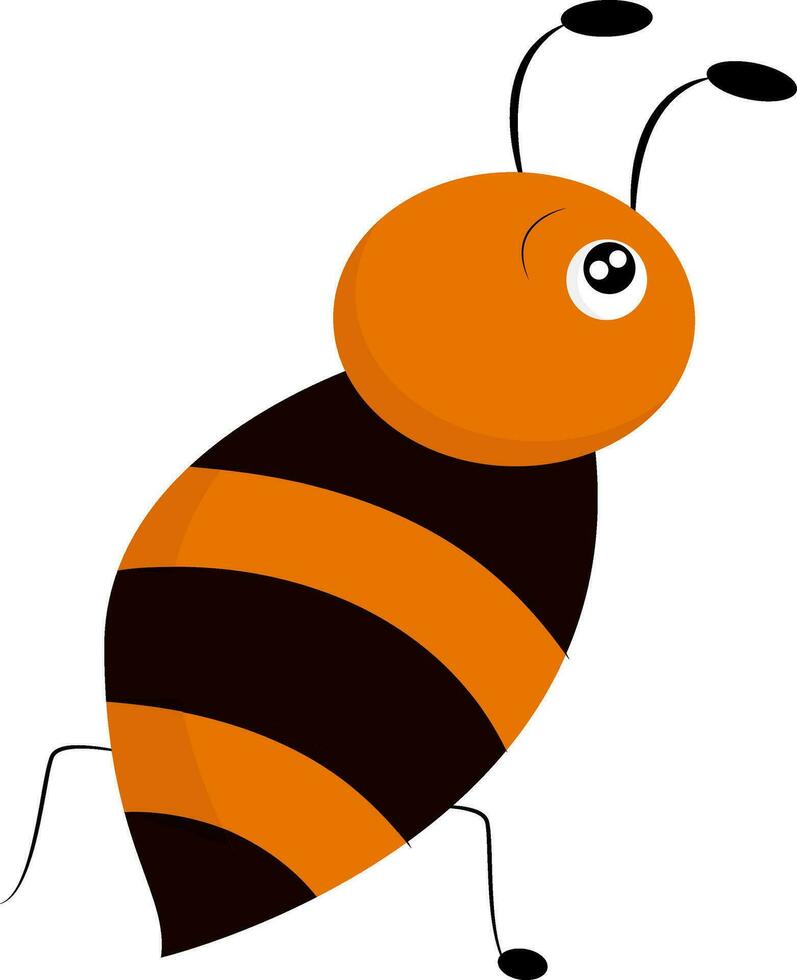 beeld e van honing bij, vector of kleur illustratie.