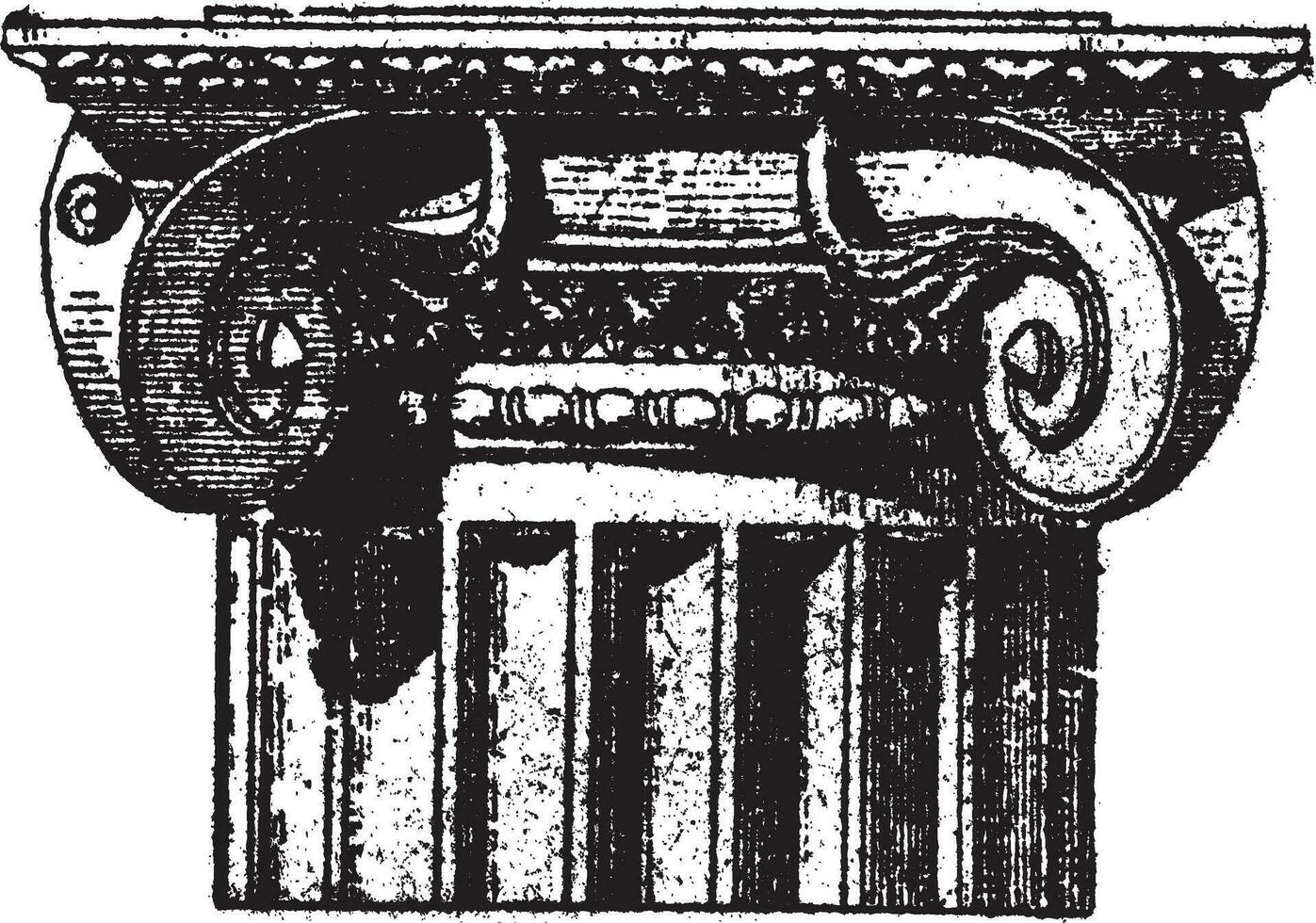 afb. 3. ionisch Pompeii met hoek voluten, wijnoogst gravure. vector