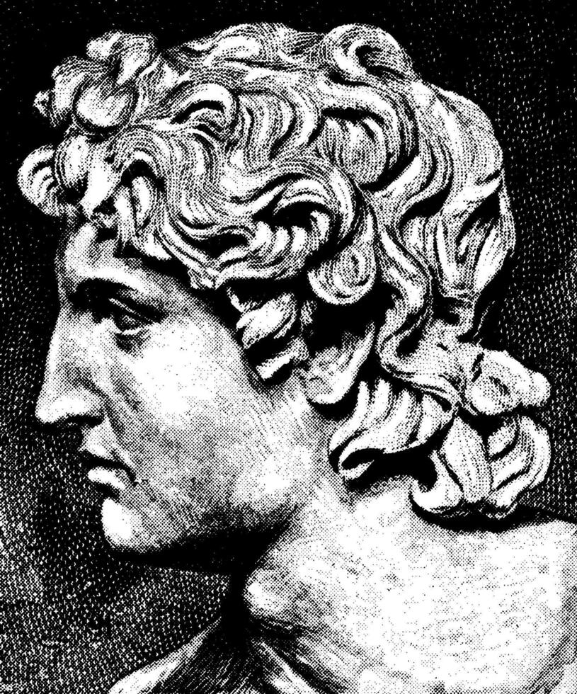 Alexander, wijnoogst illustratie vector