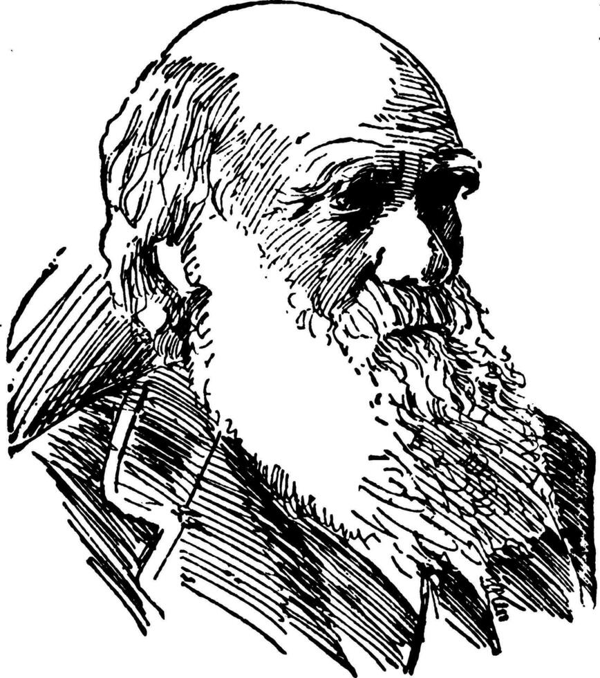 Charles robert darwin, wijnoogst illustratie vector