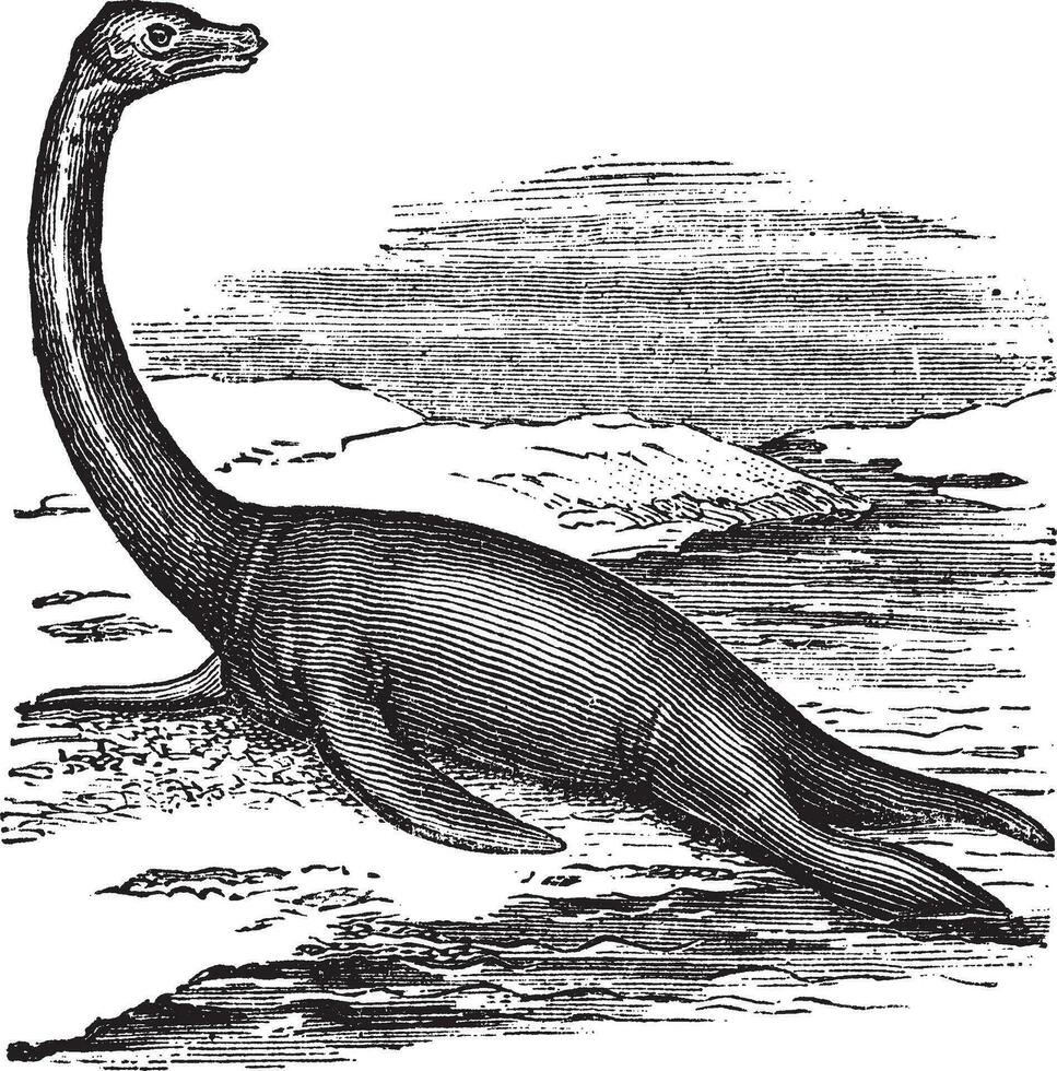 plesiosaurus, wijnoogst gravure vector