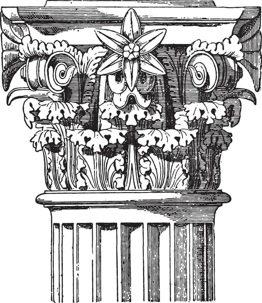 Corinthian hoofdstad, tempel van Vesta, wijnoogst gravure. vector