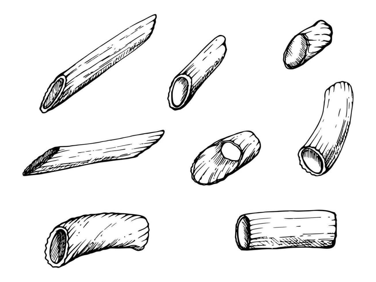 hand- getrokken vector inkt illustratie. pasta Italiaans keuken penne rigatoni traditioneel gerecht. reeks van single voorwerp elementen geïsoleerd Aan wit. voor restaurant, menu, voedsel winkel en pakket, folder, afdrukken.