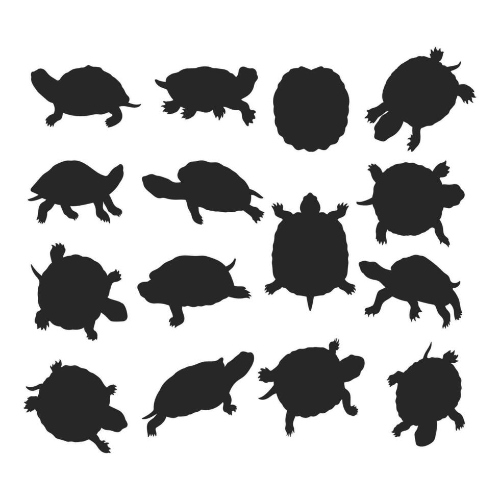 silhouet schildpad illustratie, schildpad vector verzameling, zwemmen, verbergen, wandelen