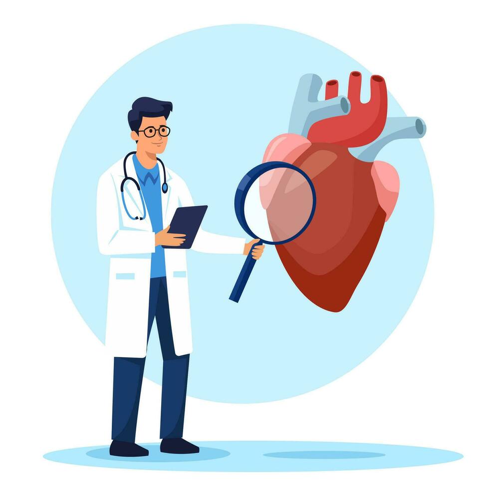 vlak vector illustratie. een cardioloog Holding een groot vergroten glas en aan het studeren de Gezondheid van de hart