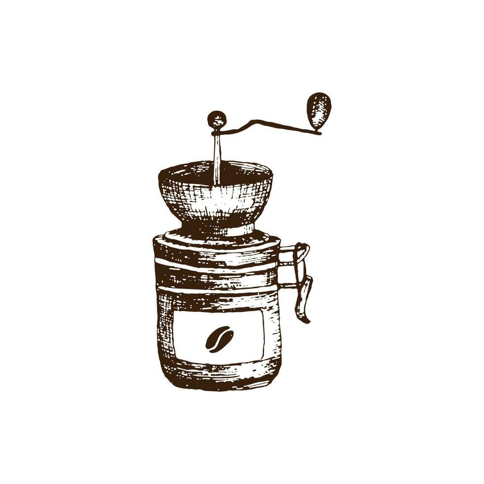 hand- getrokken wijnoogst handleiding koffie Slijper door vector illustratie. keramisch ronde koffie Slijper met metaal omgaan met en koffie korrel. potlood getrokken in wijnoogst gravure stijl. afzonderlijk Aan een wit