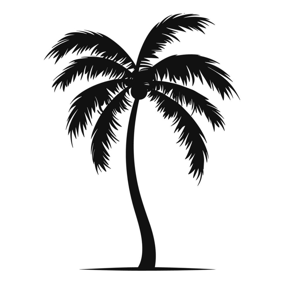 een palm boom vector silhouet geïsoleerd Aan een wit achtergrond, tropisch palm boom zwart clip art