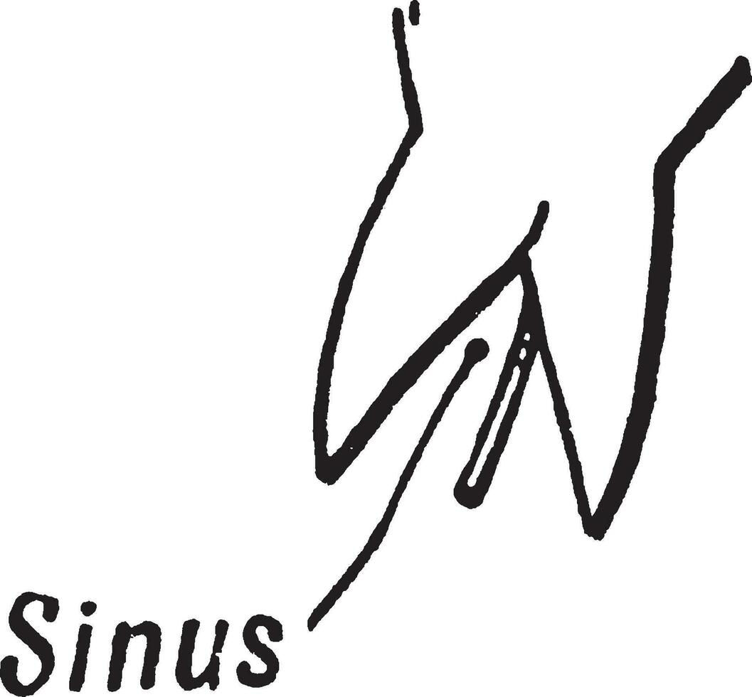 sinus wijnoogst illustratie. vector