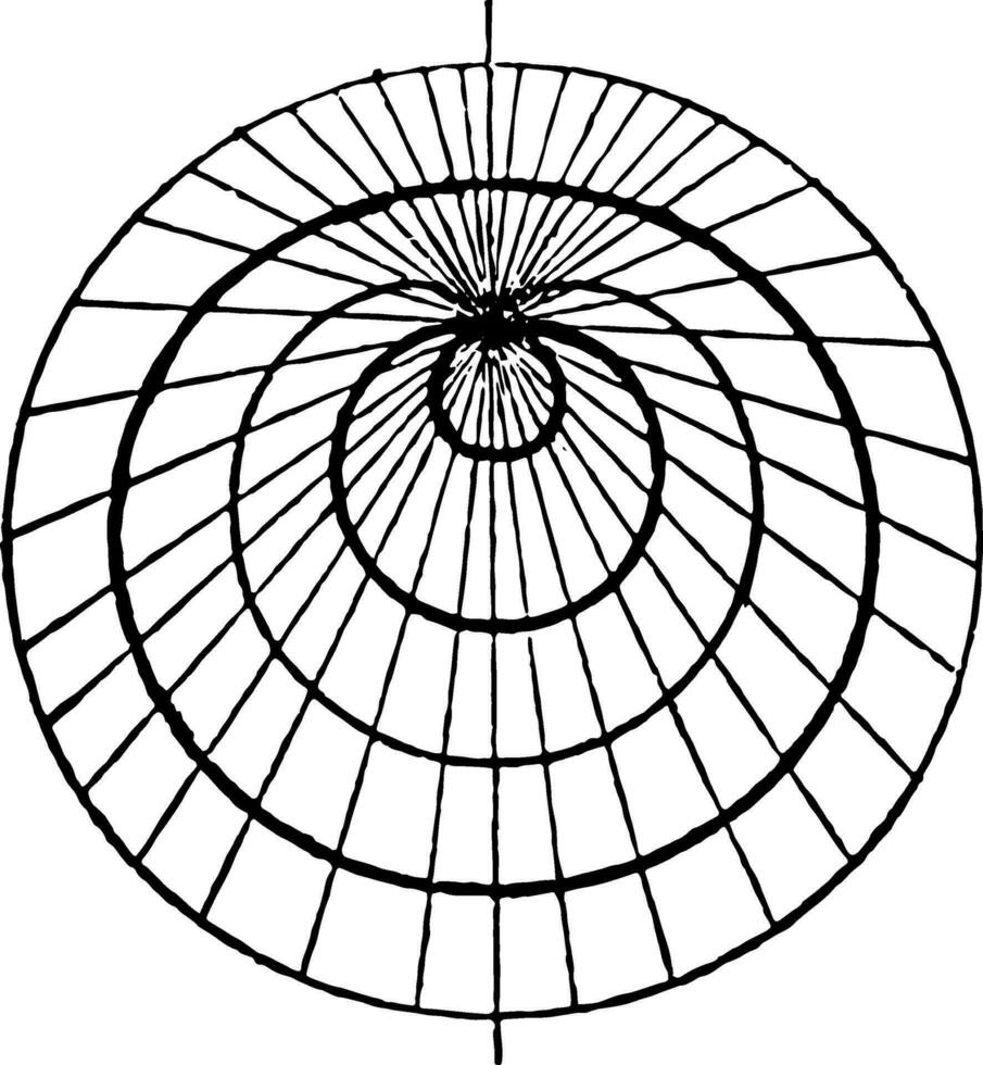 pascal's volute curves wijnoogst illustratie. vector