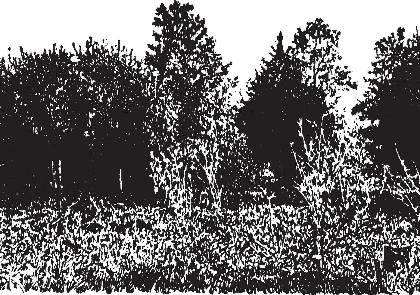 bomen in een weiland wijnoogst illustratie. vector