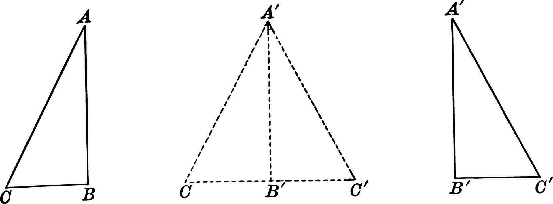 Gelijk Rechtsaf driehoeken door hypotenusa been wijnoogst illustratie. vector