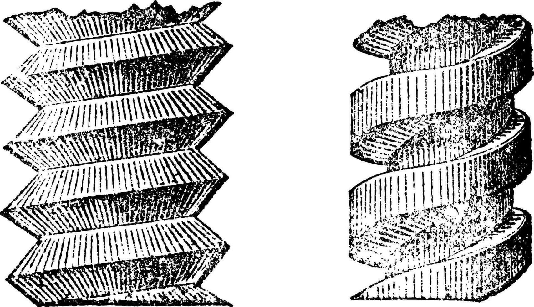 schroef, wijnoogst gravure. vector