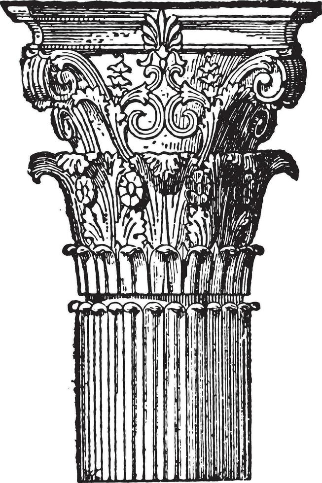 Corinthian hoofdstad, wijnoogst gravure. vector