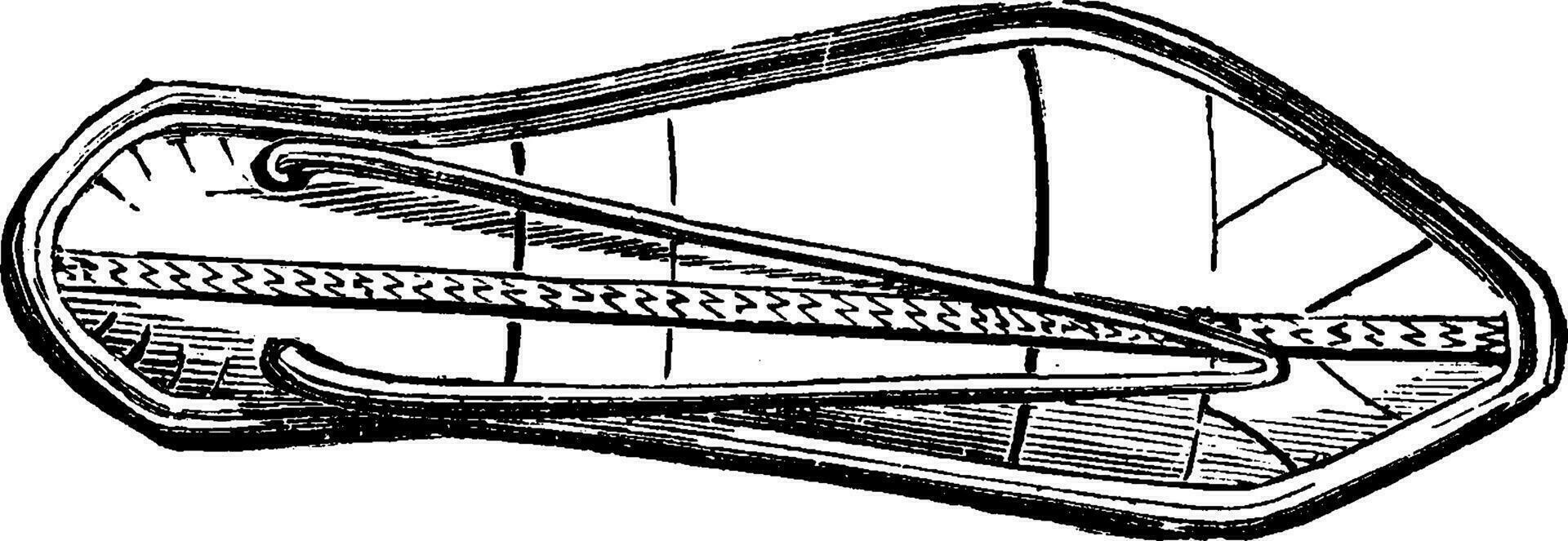 Egyptische sandaal, leer en Marokko, wijnoogst gravure. vector