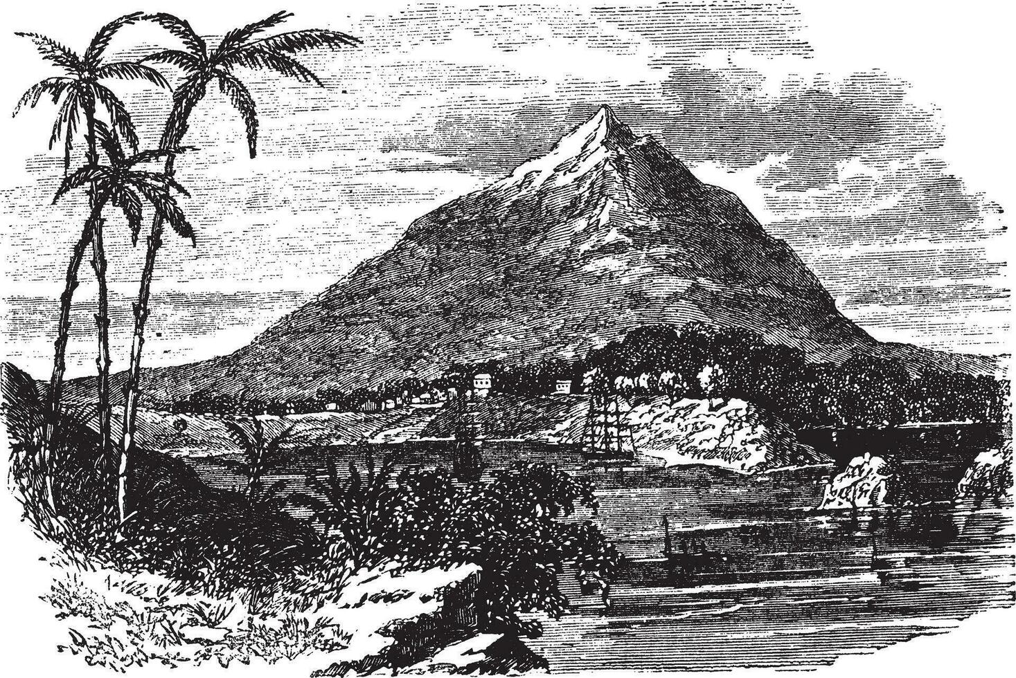 pico basilicum in bioko eiland, republiek van equatoriaal Guinea, wijnoogst gravure vector