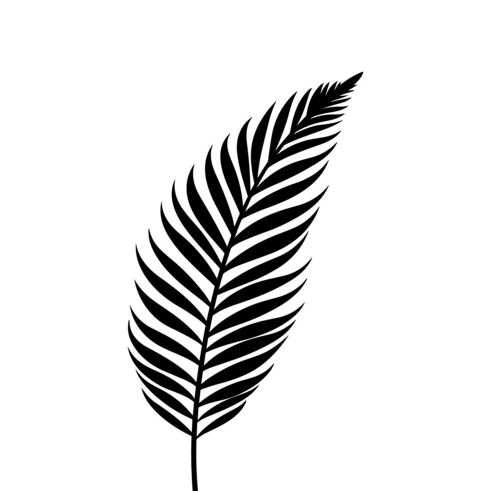 een palm boom blad silhouet vector geïsoleerd Aan een wit achtergrond