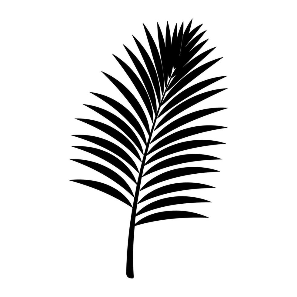 een palm boom blad silhouet vector geïsoleerd Aan een wit achtergrond