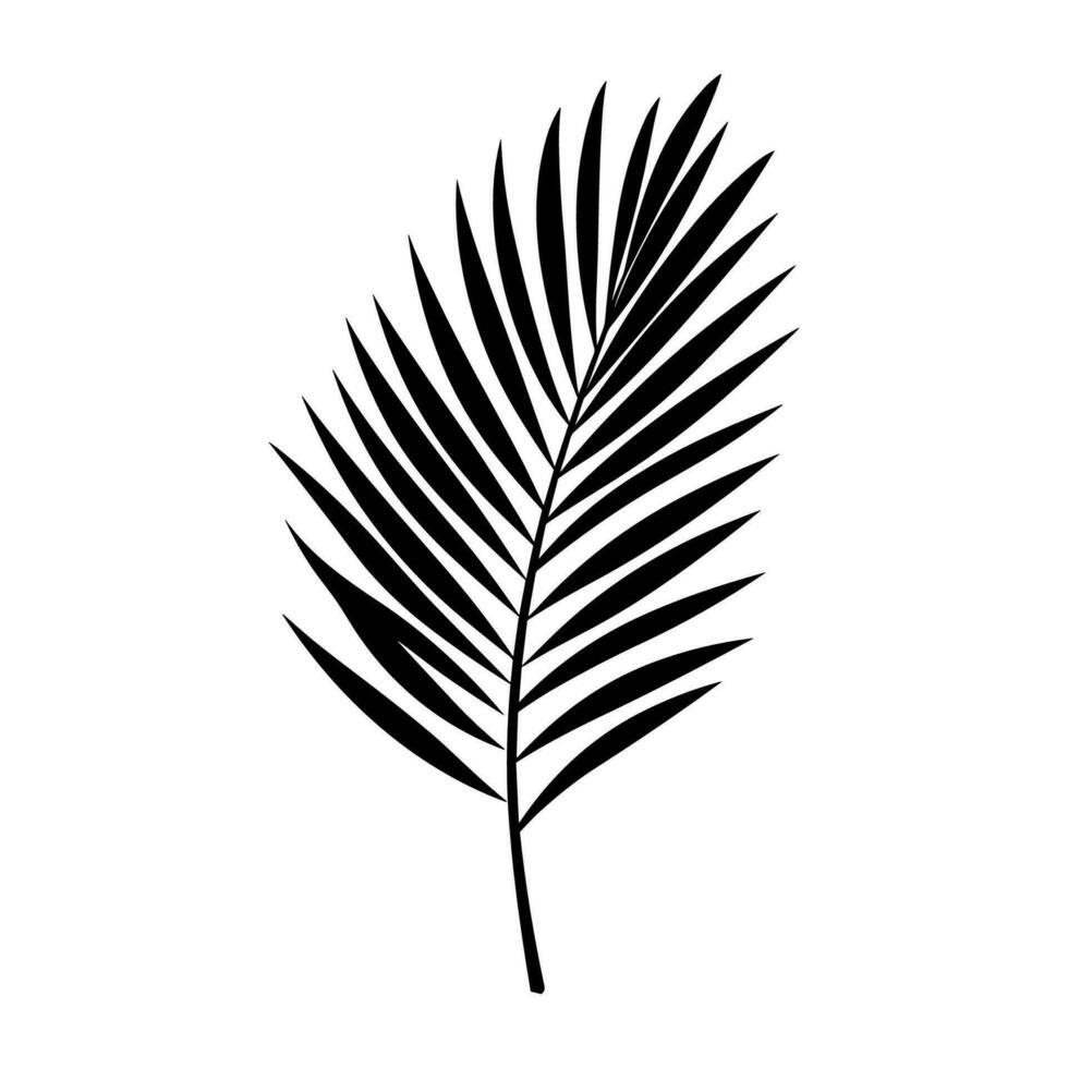 een palm boom blad silhouet vector geïsoleerd Aan een wit achtergrond