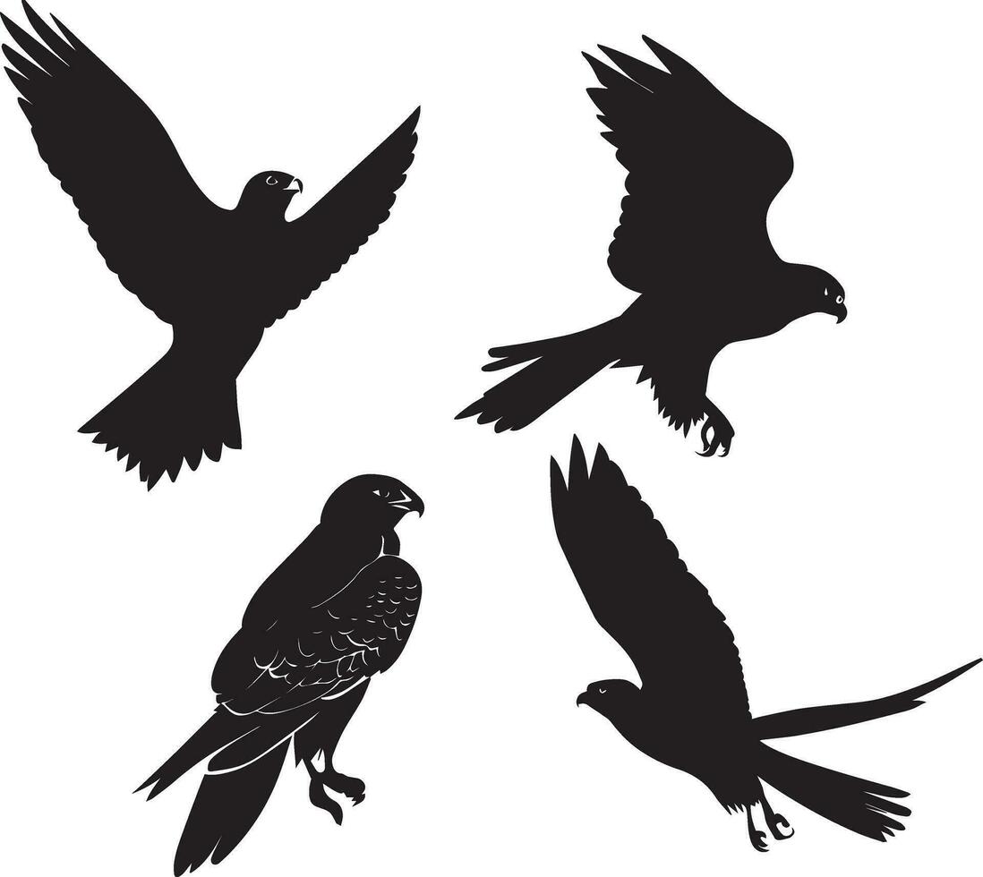 vliegend vogel vector silhouet 5