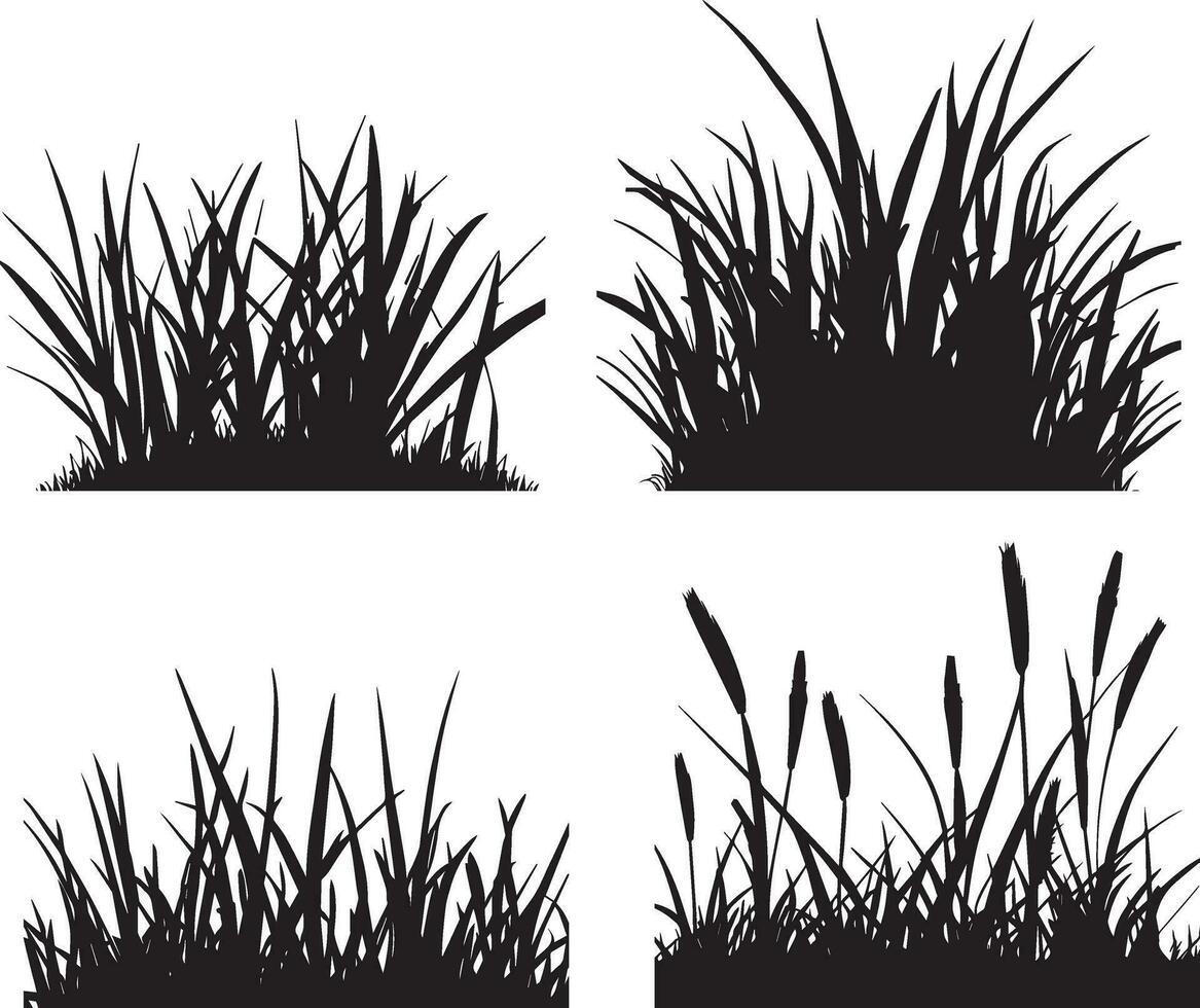 gras vector silhouet illustratie 3