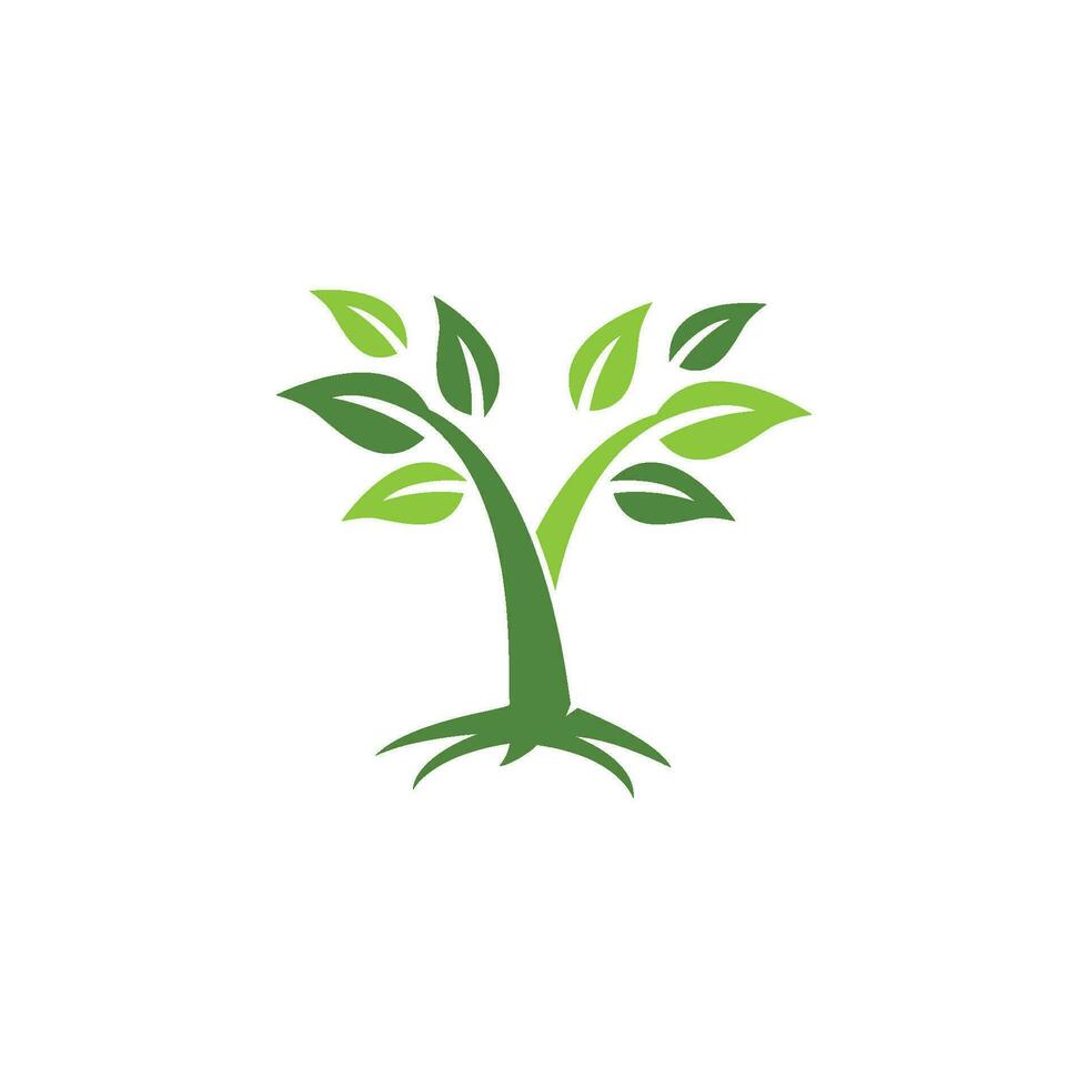 logo's van groene boom blad ecologie vector