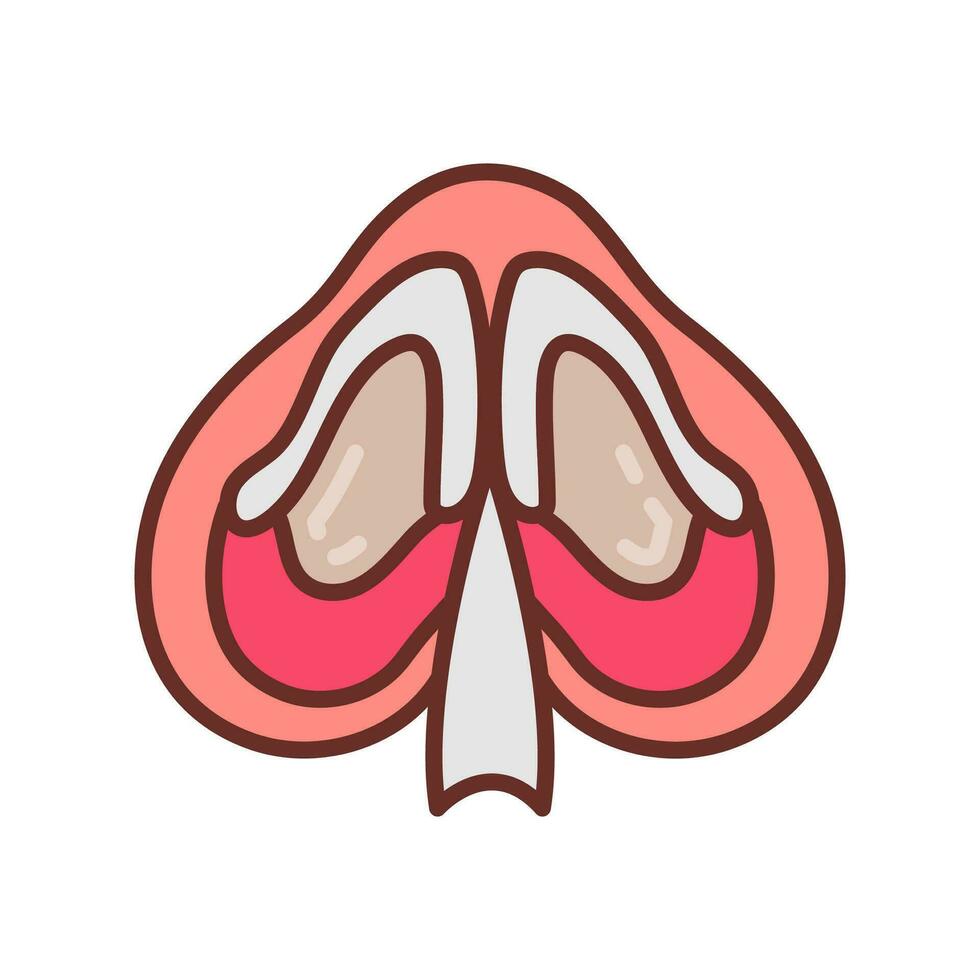 nasaal septum icoon in vector. logotype vector