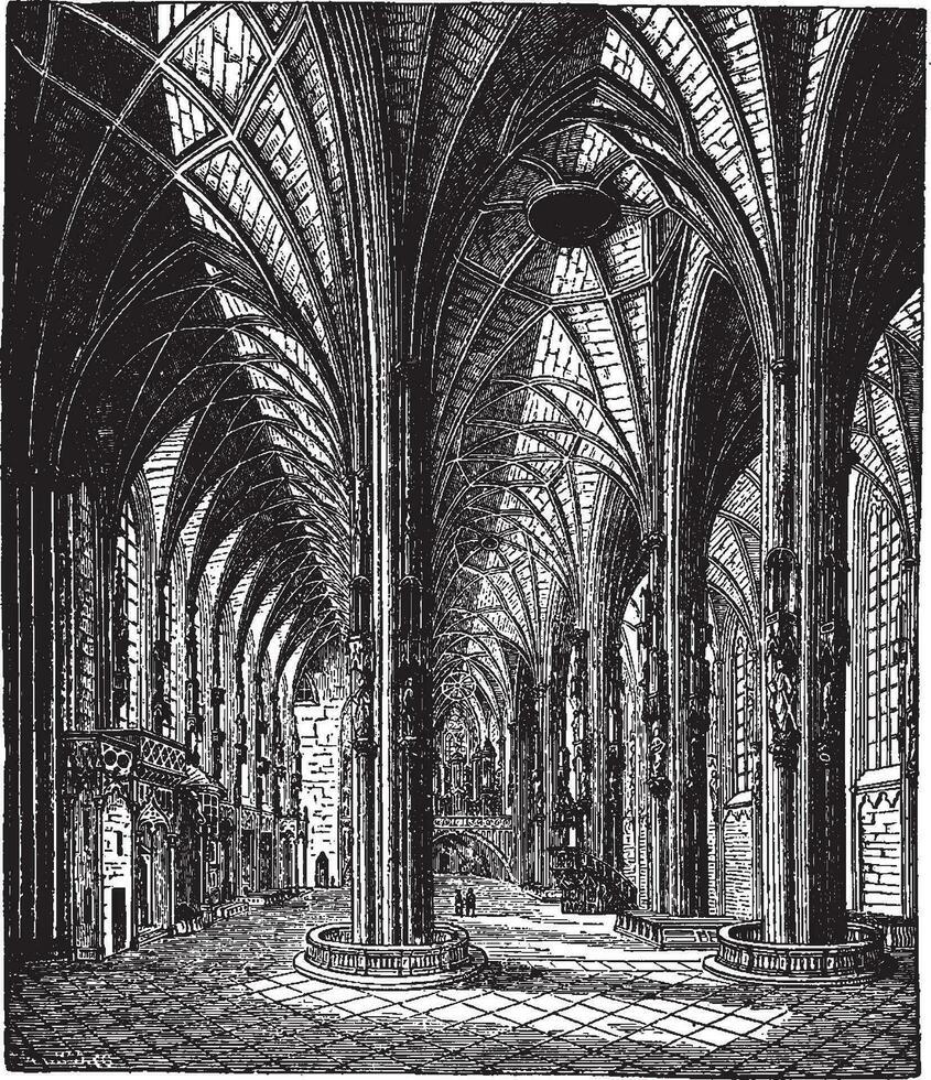 st stephen kathedraal in Wenen in Oostenrijk, wijnoogst illustratie. vector