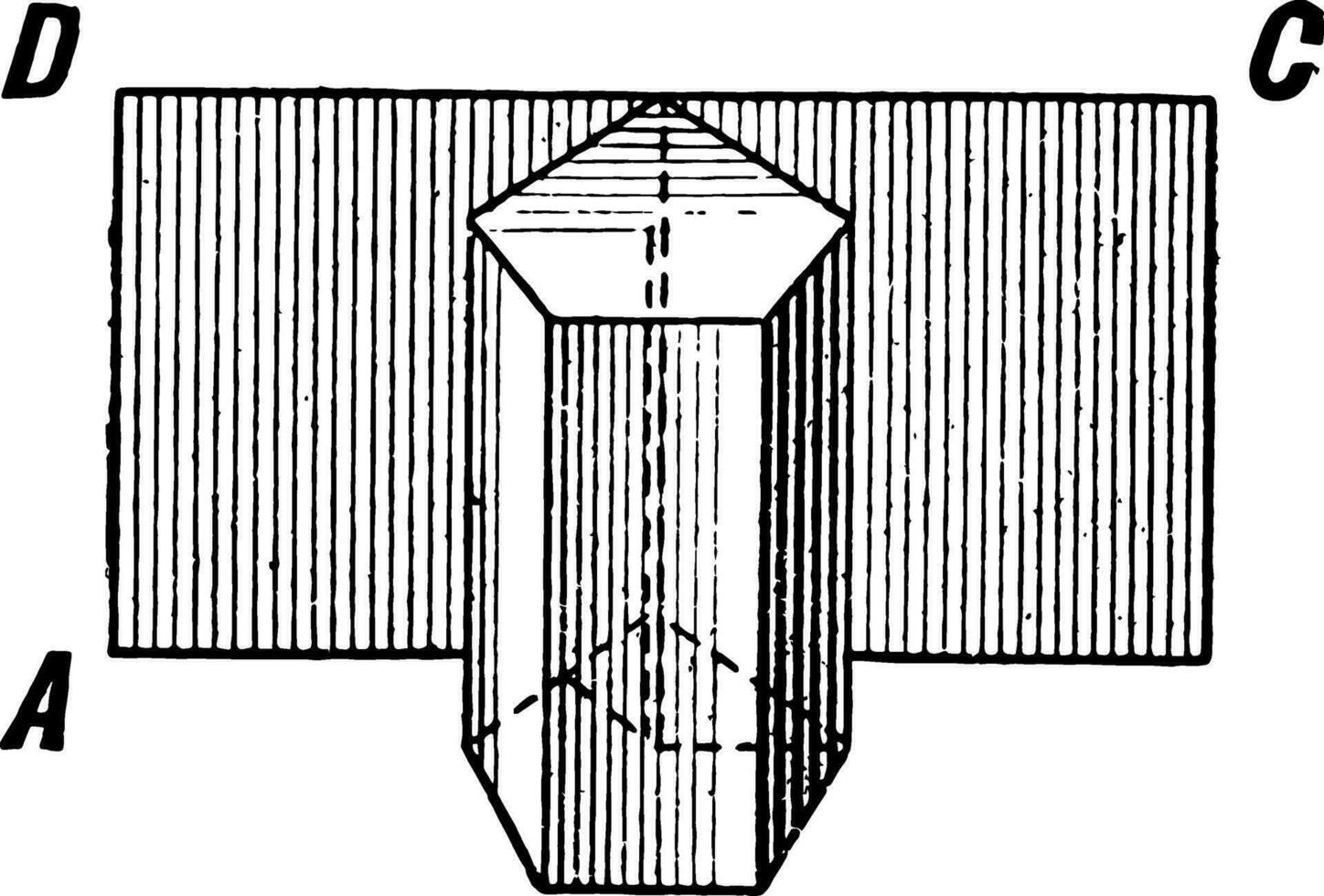 oppervlakken van een prisma wijnoogst illustratie. vector
